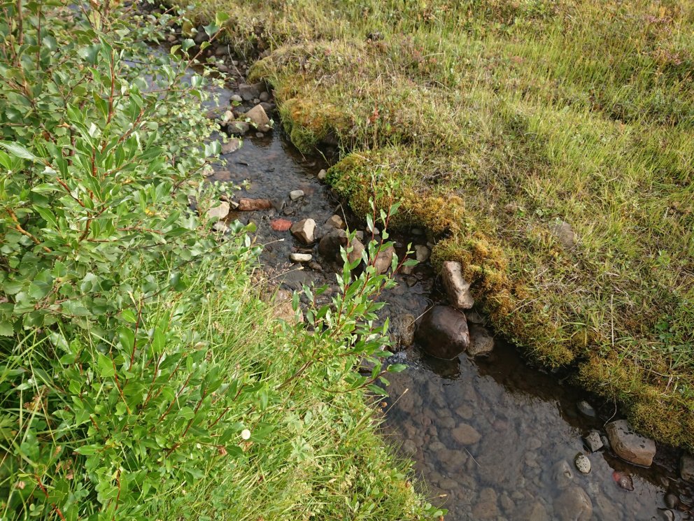 Undirstaða lífs...